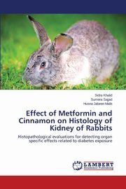 Effect of Metformin and Cinnamon on Histology of Kidney of Rabbits, Khalid Sidra
