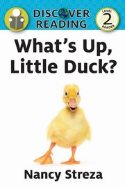 What's Up Little Duck, Streza Nancy