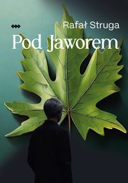 Pod Jaworem, Struga Rafa
