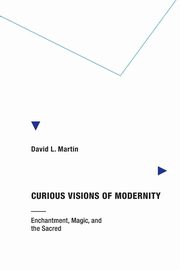 Curious Visions of Modernity, Martin David L.