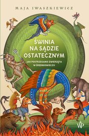 winia na sdzie ostatecznym, Iwaszkiewicz Maja