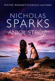 Anio str, Sparks Nicholas