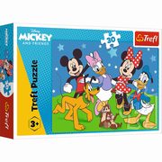 Puzzle Mysie sprawy 30, 