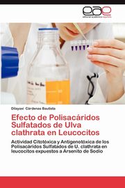 Efecto de Polisacaridos Sulfatados de Ulva Clathrata En Leucocitos, C. Rdenas Bautista Dilayaxi