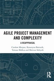Agile Project Management and Complexity, Mesjasz Czesaw