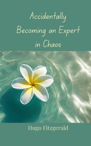 Accidentally Becoming an Expert in Chaos, Fitzgerald Hugo