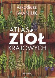 Atlas zi krajowych, Iwaniuk Arkadiusz