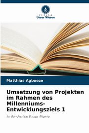 Umsetzung von Projekten im Rahmen des Millenniums-Entwicklungsziels 1, Agboeze Matthias