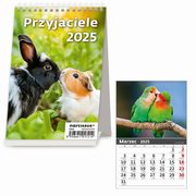 Kalendarz 2025 Biurkowy pionowy Przyjaciele miesiczny, 