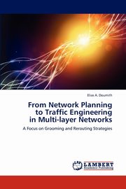 From Network Planning to Traffic Engineering in Multi-Layer Networks, Doumith Elias A.