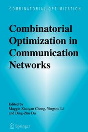 Combinatorial Optimization in Communication Networks, 