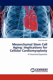 Mesenchymal Stem Cell Aging, Asumda Faizal