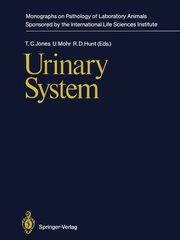 Urinary System, 