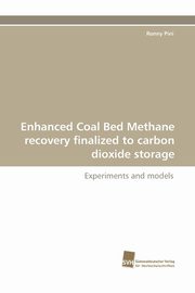 Enhanced Coal Bed Methane Recovery Finalized to Carbon Dioxide Storage, Pini Ronny