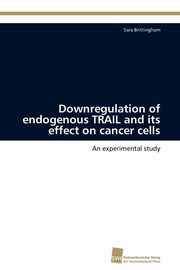 Downregulation of endogenous TRAIL and its effect on cancer cells, Brittingham Sara