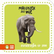 Maluszek ju wie Zwierzta w zoo, 