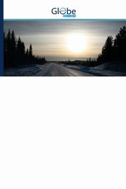 Reflection on Ethical Leadership, Torabi Zahra