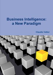 Business Intelligence, Vettor Claudio