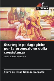 Strategie pedagogiche per la promozione della coesistenza, Galindo Gonzlez Pedro de Jess