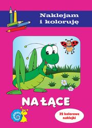 Na ce Naklejam i koloruj, Maecki Aleksander