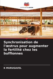 Synchronisation de l'?strus pour augmenter la fertilit chez les bufflonnes, MURUGAVEL K