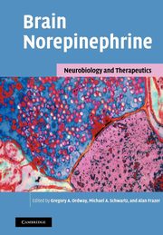 Brain Norepinephrine, 