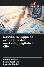Nascita, sviluppo ed evoluzione del marketing digitale in Cile, Portilla Gabriel