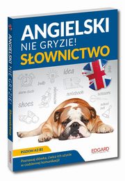 Angielski nie gryzie! Sownictwo, Jachimiak Magda