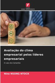 Avalia?o do clima empresarial pelos lderes empresariais, NSONG NTOCK Nino