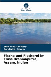 Fische und Fischerei im Fluss Brahmaputra, Assam, Indien, Basumatary Sudem