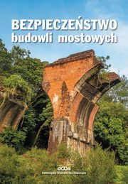 ksiazka tytu: Bezpieczestwo budowli mostowych autor: Radomski Wojciech