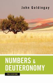 Numbers and Deuteronomy for Everyone, Goldingay John