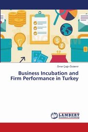 Business Incubation and Firm Performance in Turkey, zdemir mer a?r?