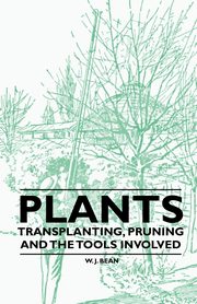 Plants - Transplanting, Pruning and the Tools Involved, Bean W. J.