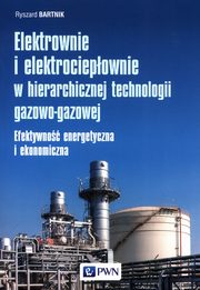 Elektrownie i elektrociepownie w hierarchicznej technologii gazowo-gazowej, Bartnik Ryszard