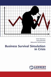 Business Survival Simulation in Crisis, Romanov Victor