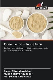 Guarire con la natura, Bilyaminu Adam Ansar