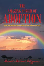 The Amazing Power of Adoption, Waggoner David Michael