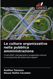 Le culture organizzative nella pubblica amministrazione, Teixeira Rodilon