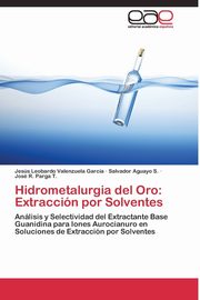Hidrometalurgia del Oro, Valenzuela Garca Jess Leobardo