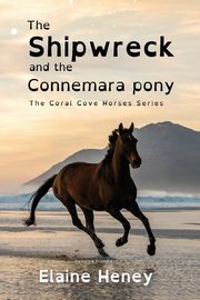 The Shipwreck and the Connemara Pony - Dyslexia Friendly, Heney Elaine