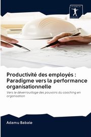 Productivit des employs, Babale Adamu