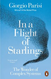 In a Flight of Starlings, Parisi Giorgio