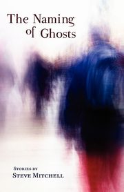 The Naming of Ghosts, Mitchell Steve