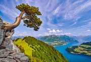 Puzzle View of the Lake of Uri, Switzerland 1000, 