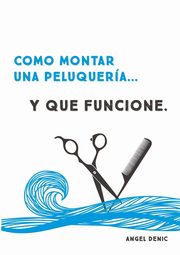 Cmo montar una peluquera... y que funcione, Denic ngel