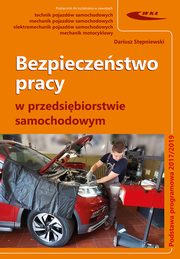 Bezpieczestwo pracy w przedsibiorstwie samochodowym, Stpniewski Dariusz