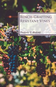 Bench-Grafting Resistant Vines, Bioletti Frederic T.