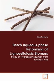 Batch Aqueous-phase Reforming of Lignocellulosic Biomass, Olarte Mariefel