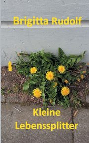 Kleine Lebenssplitter, Rudolf Brigitta